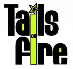 GIG REVIEW ::Tails On Fire. Indo German Urban Mela.