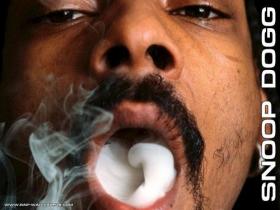 ScoreByte: Snoop Dogg's Pot-luck