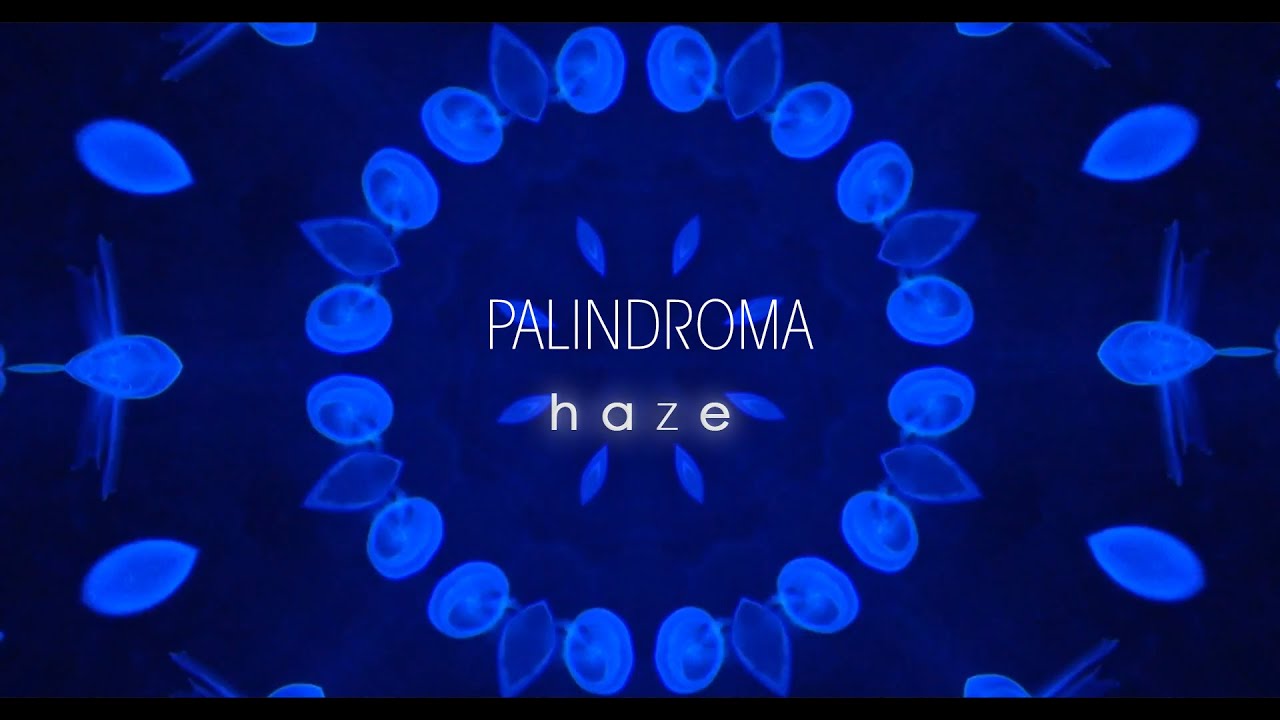 Palindroma- Haze- Score New Releases