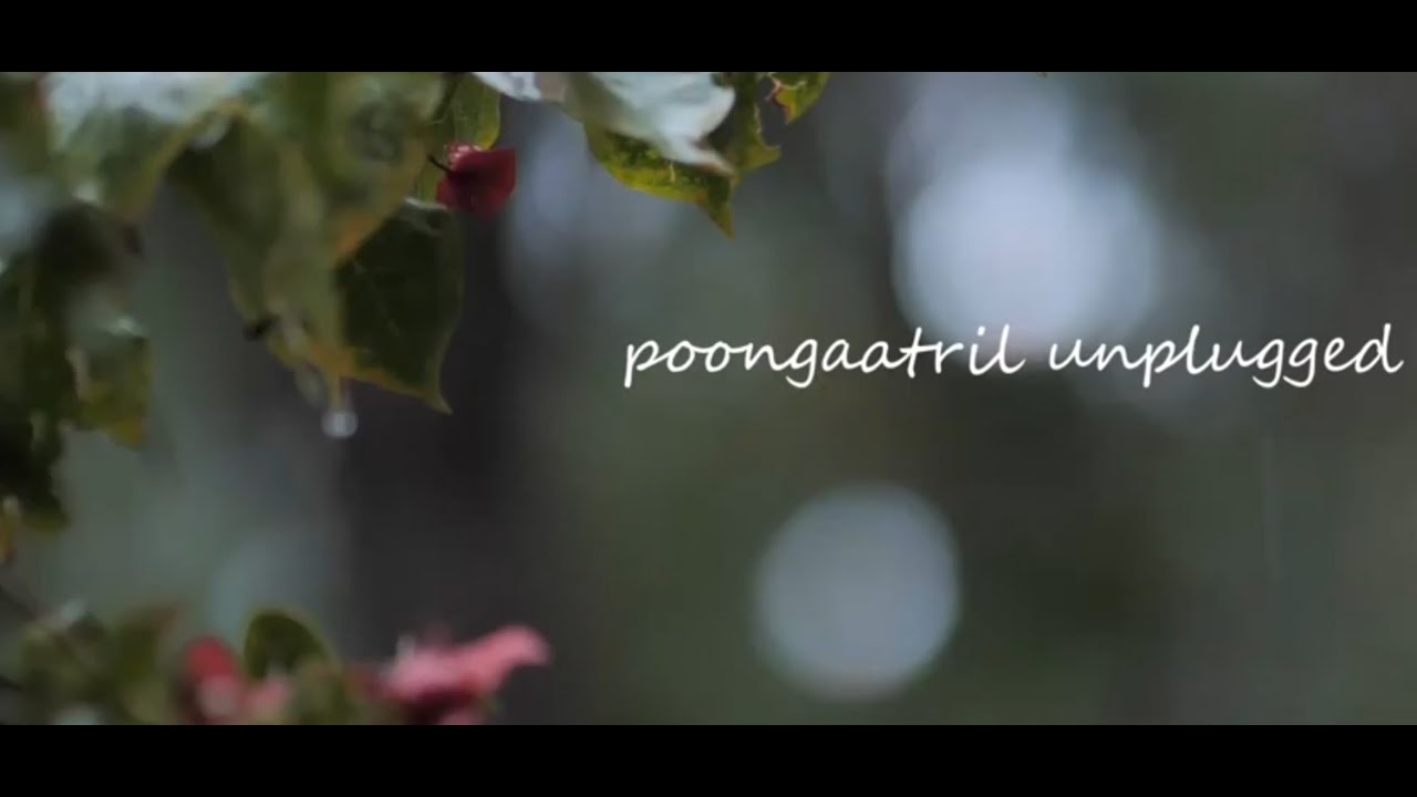 Poongaatril Unplugged- New Releases