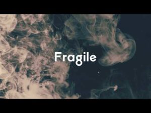 Ram Sampath- Fragile- Score Indie Reviews