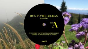 Jeremiah de Rozario- Run To The Ocean finds- Score Indie Reviews