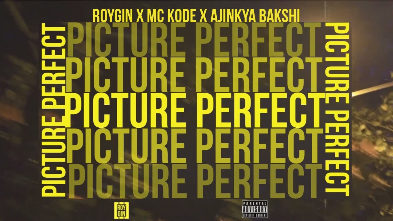 Picture Perfect-Roygin, MC Kode, Ajinkya Bakshi