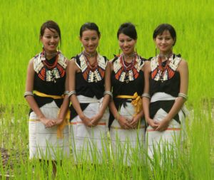 Band of the month: Tetseo Sisters