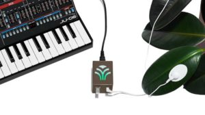 All You Need To Know About ‘Music For Plants’ - Score Short Reads