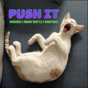 Mosambee- Raghav Meattle- Saxontoast- Push It- Score Indie Reviews