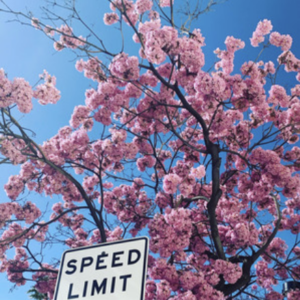 Rivita- Speed limit- Score Indie Reviews