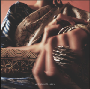 Sanoli Chowdhury- A distant meadow- Score Indie Reviews