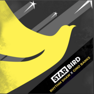 Star bird