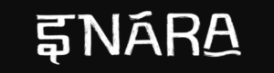 The INARA Indie: a promising music festival born out of a fundraiser for dogs - Score Short Reads