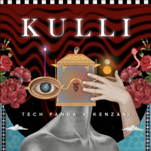 Tech Panda kenzani Kulli