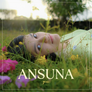 Gini-Ansuna-Score Indie Reviews